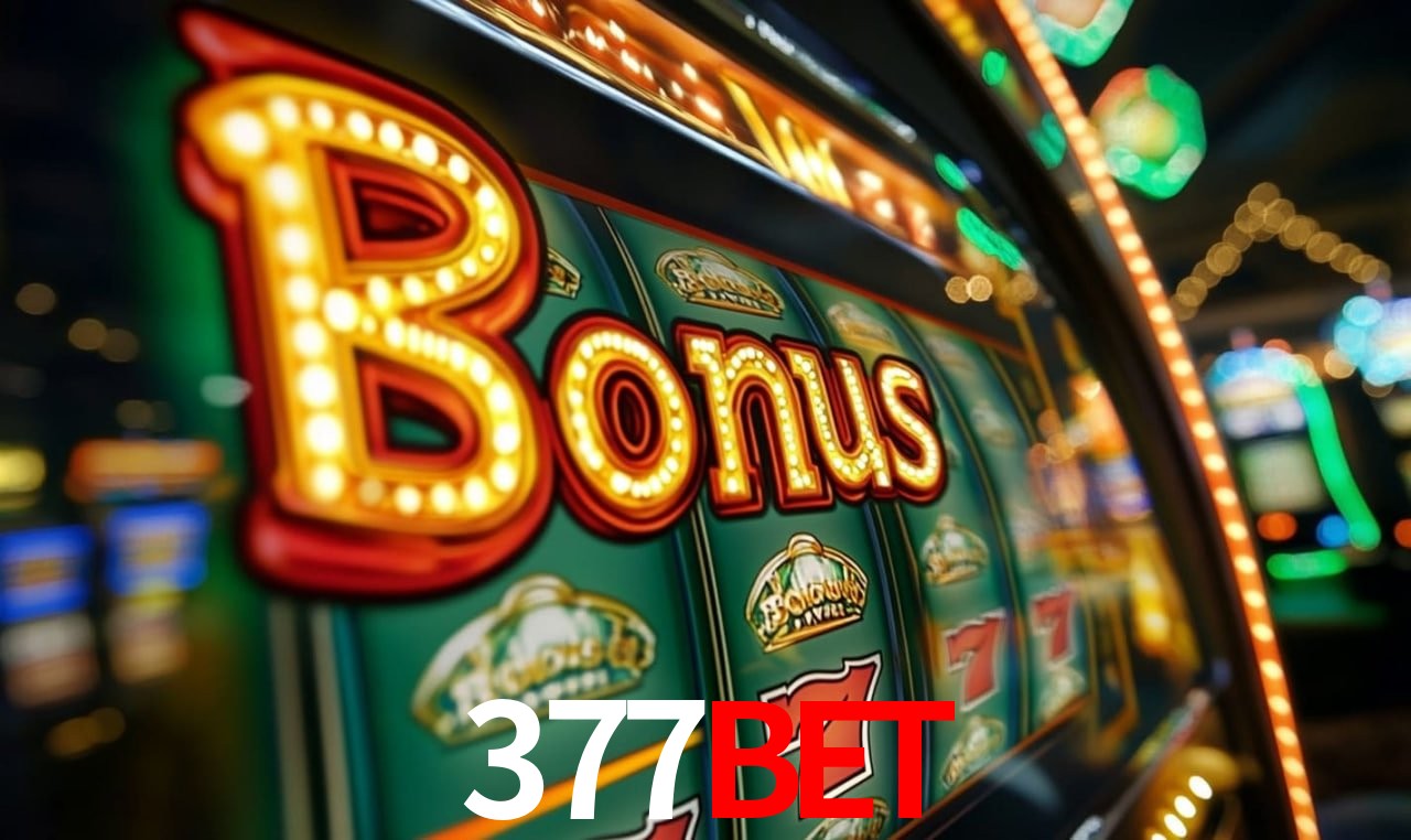 377bet Salvador - Promo Stats